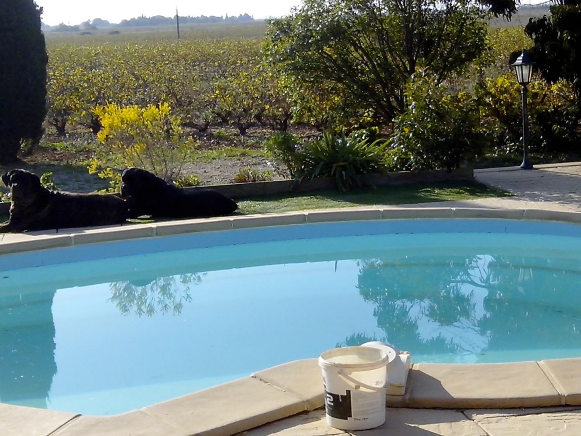Mas Soleil Et Vignes Acomodação com café da manhã Saint-Hippolyte  Exterior foto